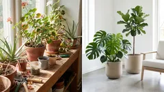 Týchto 7 rastlín nenápadne dodáva bytu retro štýl
