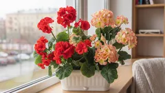 Kam umiestniť rastliny namiesto parapetu – a prečo je to dôležité