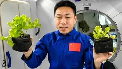 Vo vesmíre sa naučili vyrábať dýchateľný vzduch: prelom pre Mars